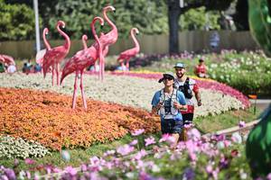 BIB: 
                            <button type="button" onclick="openModal(27793208)" class="btn btn-primary btn-sm float-right btn-popup" data-toggle="modal" data-target=".modal-high-quality">
                        <i class="fas fa-shopping-cart"></i> Add to Cart
                    </button>
                                            <button type="button" onclick="isThisMe(27793208, true)" class="btn btn-success btn-sm float-right btn-popup btn-isme hidden" data-toggle="tooltip" data-placement="bottom" title="นี่คือรูปของคุณใช่ไหม คลิกที่นี่เพื่อเอาเข้าอัลบั้ม">
                        <i class="fas fa-plus"></i> Add to album
                    </button>
                    <button type="button" onclick="isThisMe(27793208, false)" class="btn btn-warning btn-sm float-right btn-popup btn-isnotme hidden">
                        <i class="fas fa-ban"></i> Remove from album
                    </button>